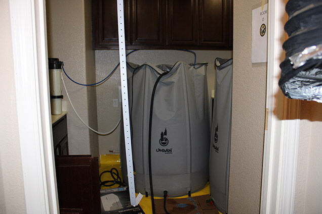 Illegal marijuana grow operations dismantled